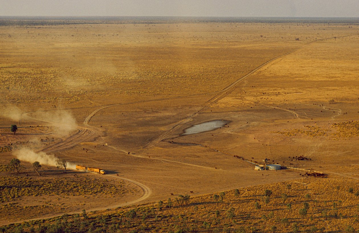 Road train carrying cattle crosses forbidding outback plateau, Western Australia by James L Stanfield