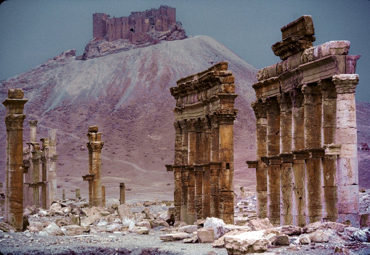 Triumphal Arch aka Monumental Arch, Great Colonnade at Palmyra, Syria by James L Stanfield