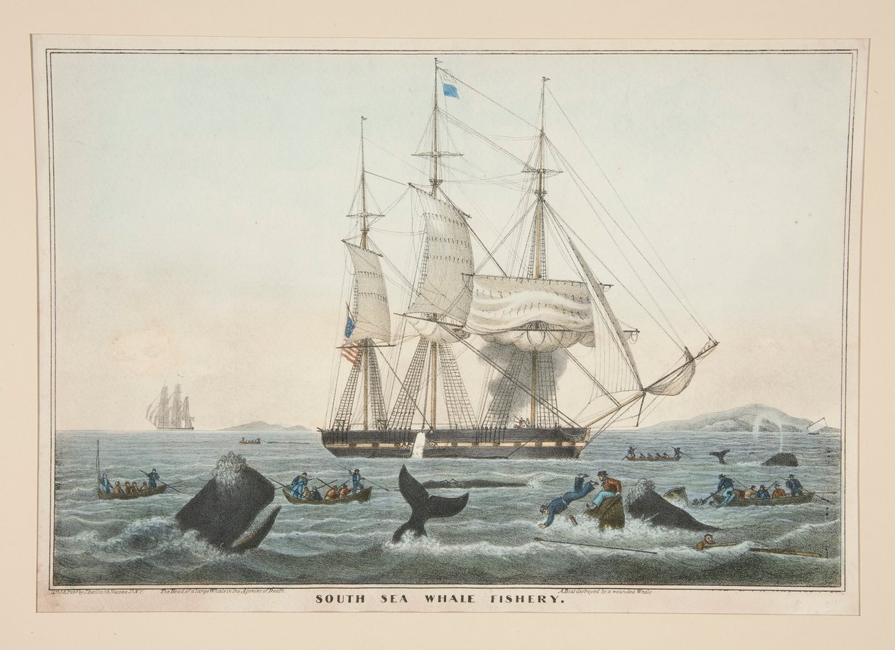South Sea Whale Fishery by James S. Baillie