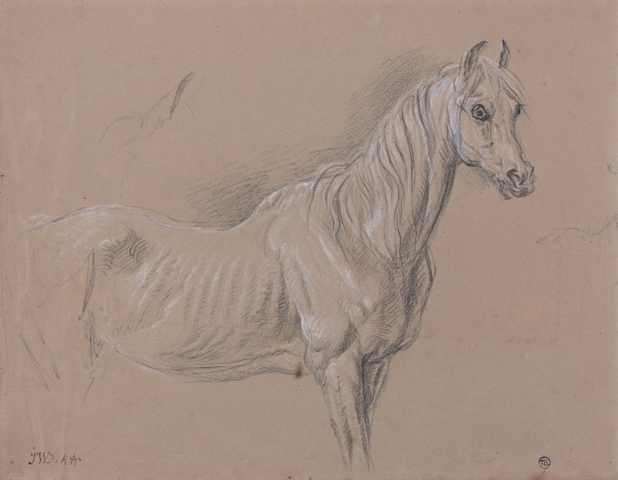 A Mare: Possibly a Study for "L