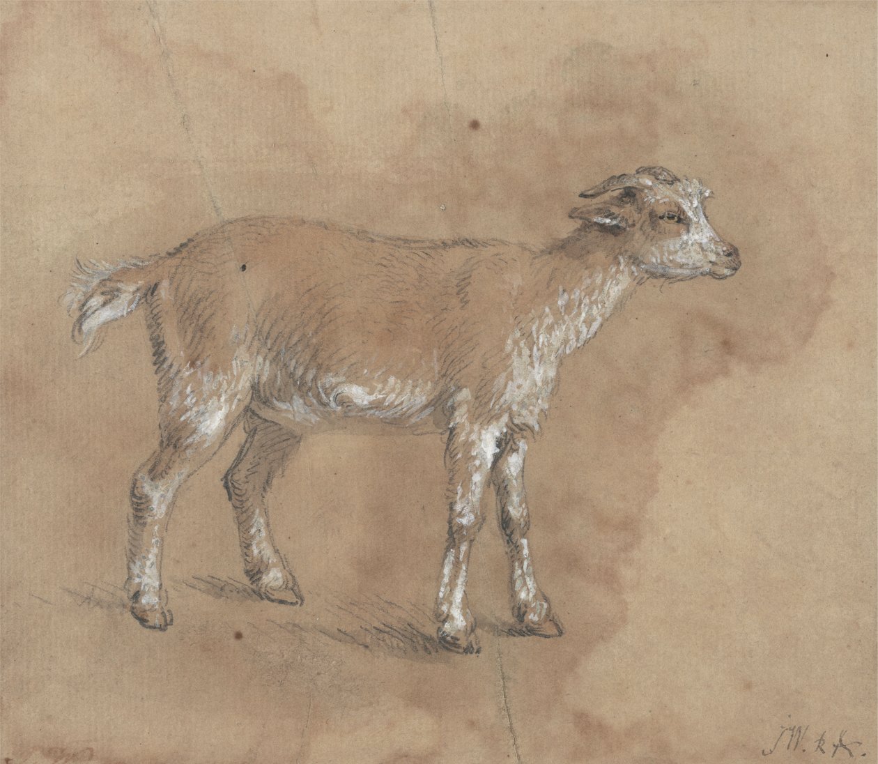 Study of a Kid by James Ward