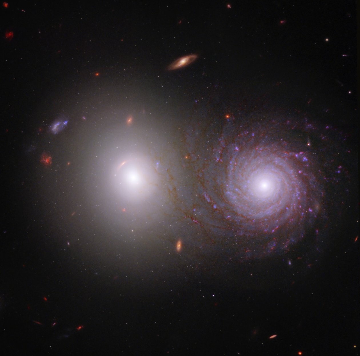 Interacting Galaxies VV 191 by James Webb Space Telescope (NASA)