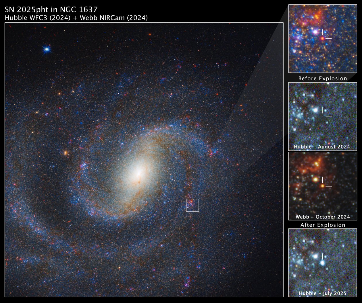 SN 2025pht in NGC 1637 by James Webb Space Telescope (NASA)
