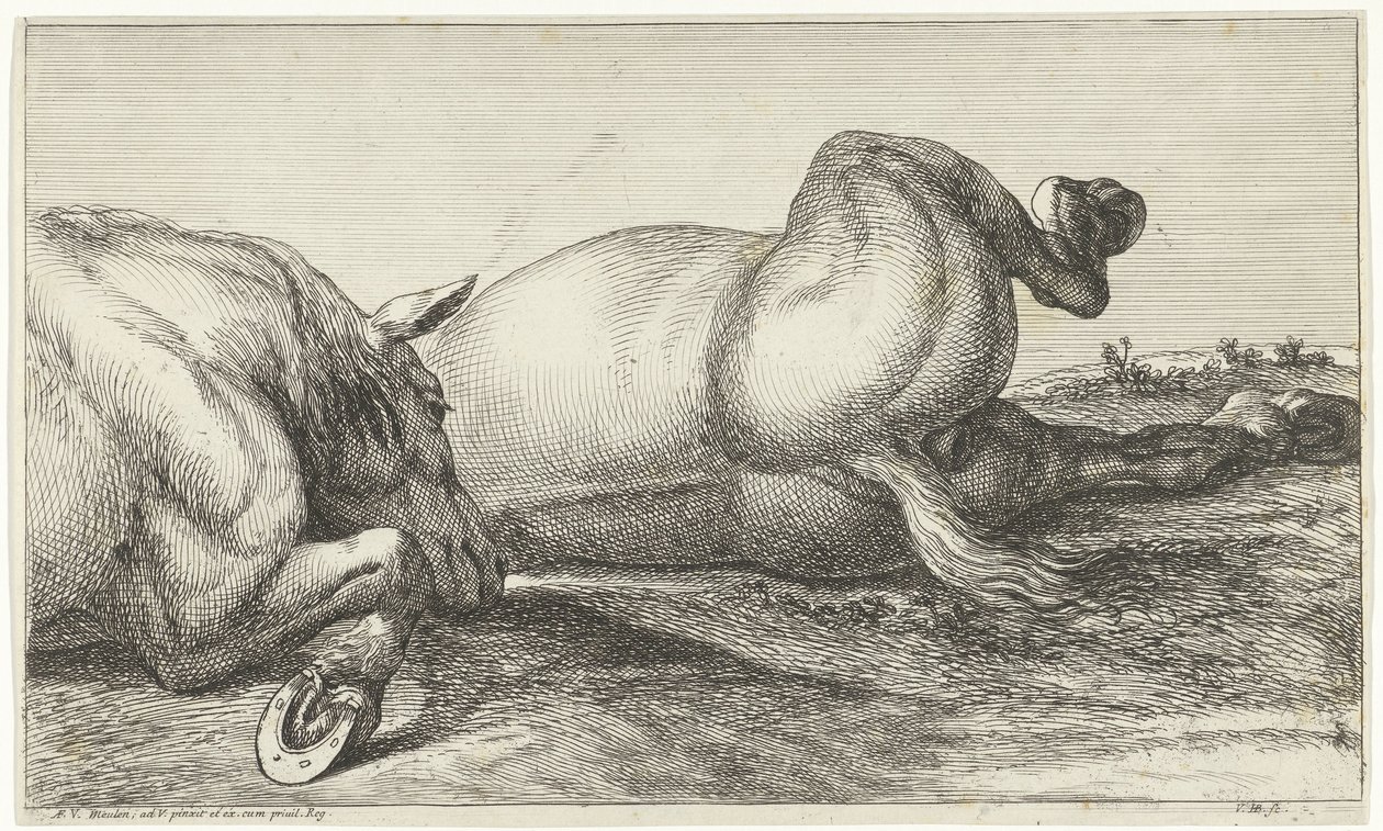 Two Horses Killed in Action Lying in a Row by Jan van Huchtenburgh