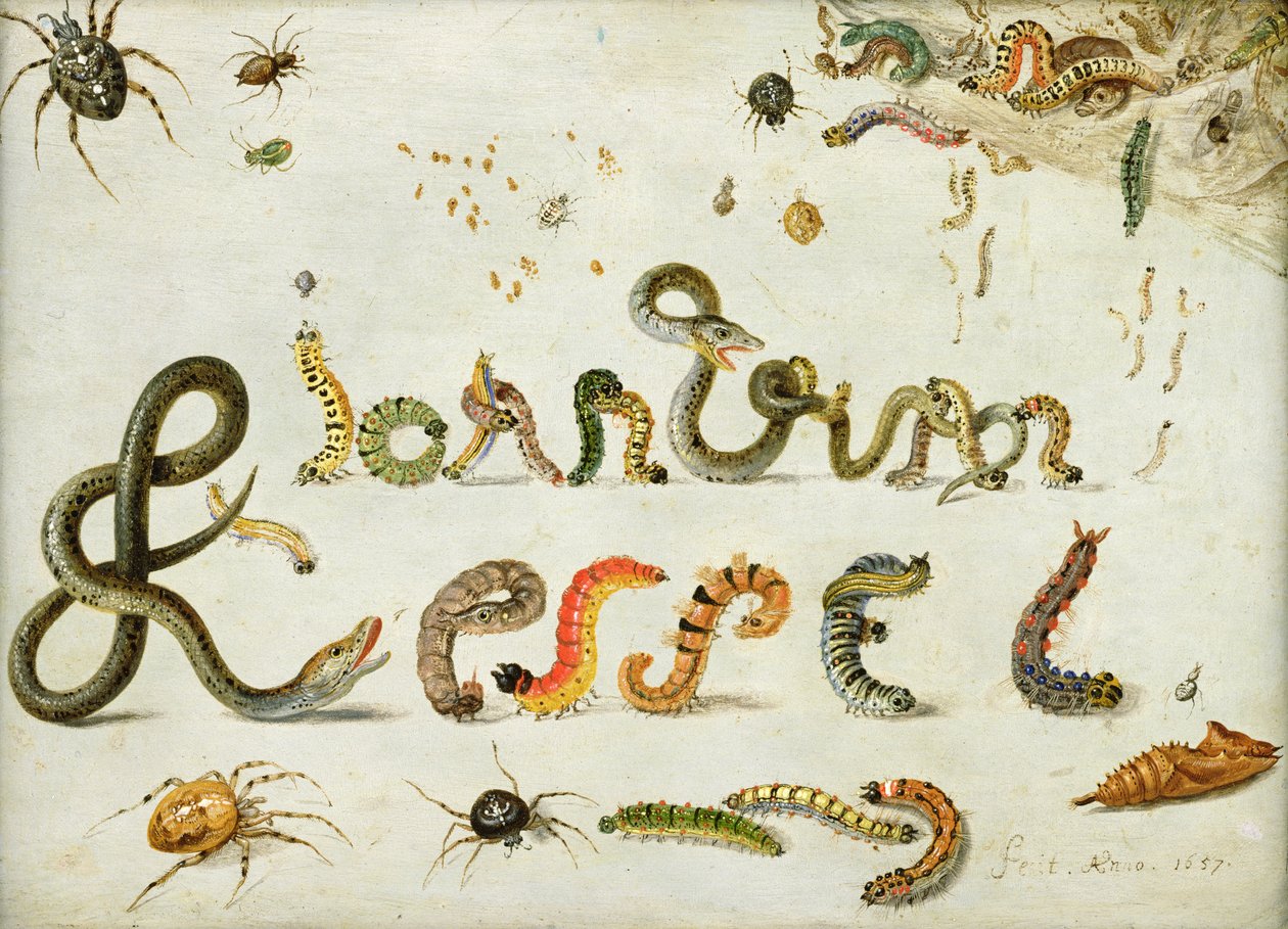 Garden and Other Spiders, Caterpillars Spell the Artist
