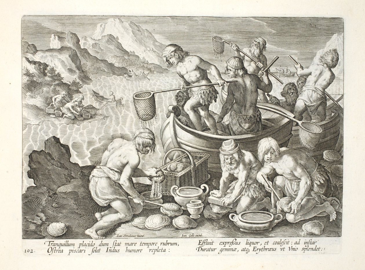 Natives Fishing for Giant Clams on the Indus, plate 102, illustration from 