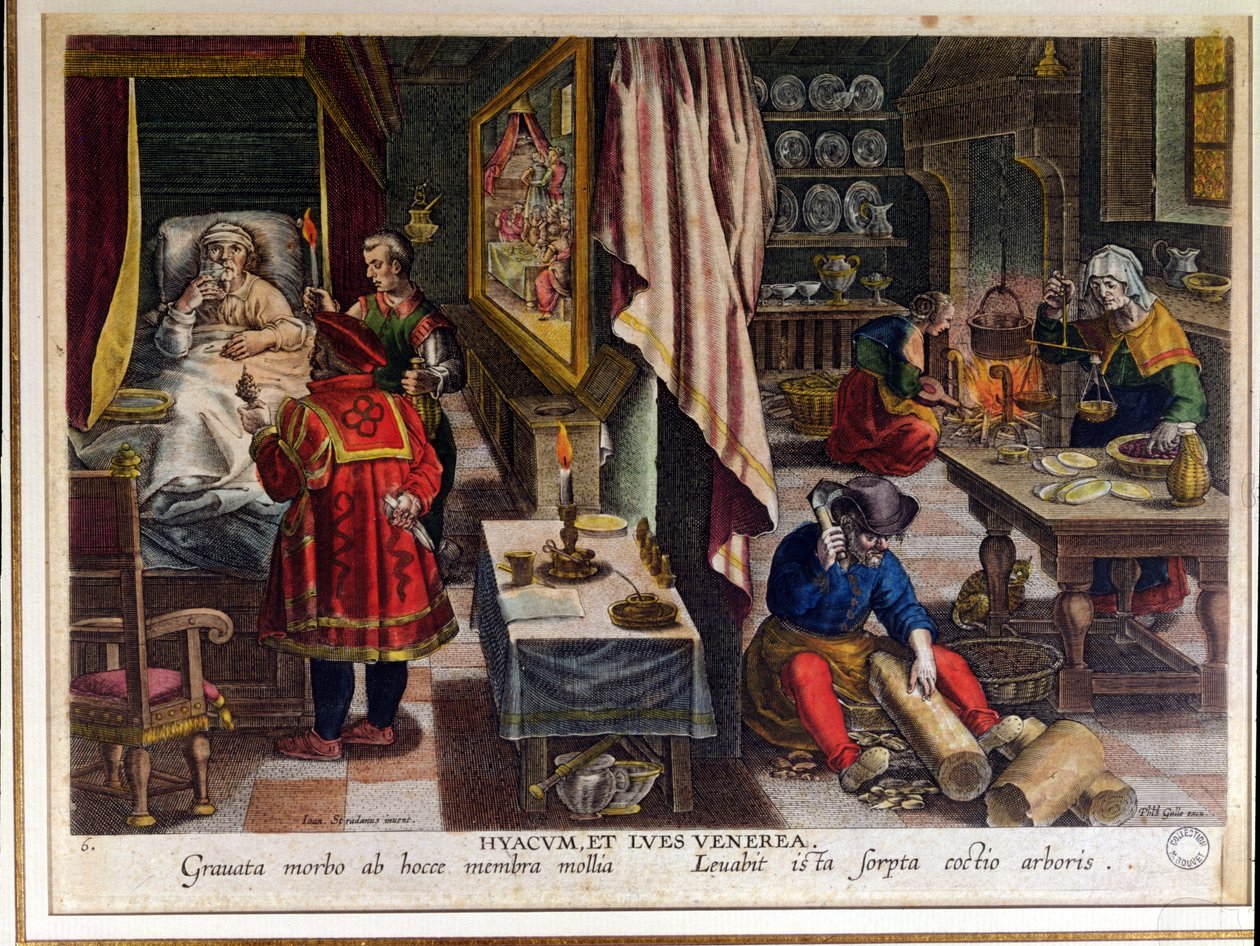 Preparation and Use of Guayaco for Treating Syphilis, Engraved by Philip Galle, c.1570 by Jan van der Straet