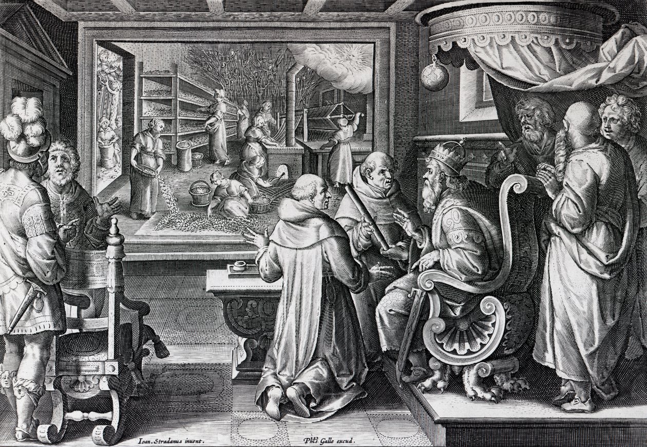 Ser, Sive Sericus Vermis, plate 9 from 