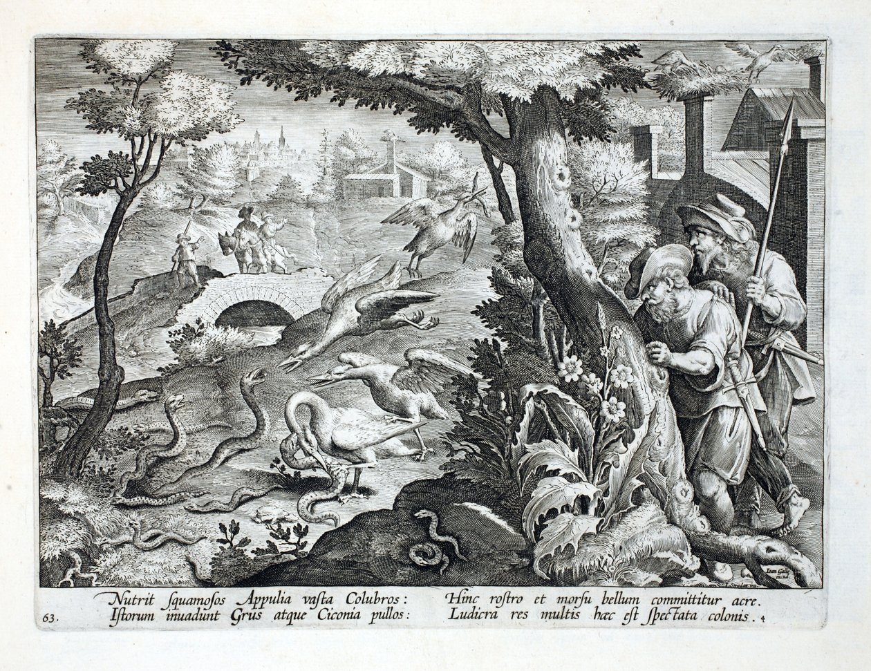 Tower Crane and their chicks swooping down on snakes, illustration from 