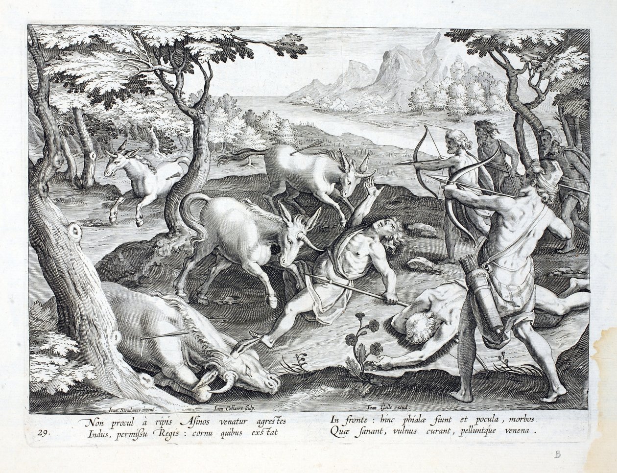 Unicorns on the banks of the Indus, hunted by permission of the King, illustration from 