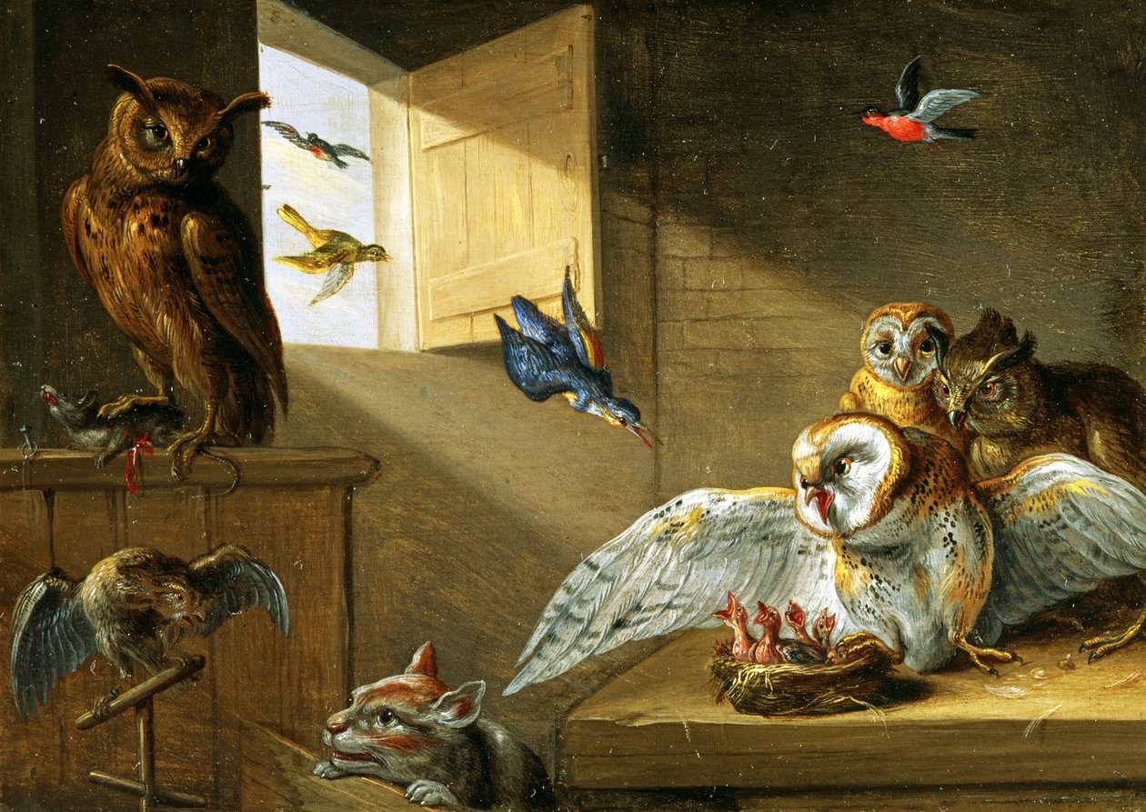 A Family of Owls, Other Birds and a Cat by Jan van Kessel the Elder