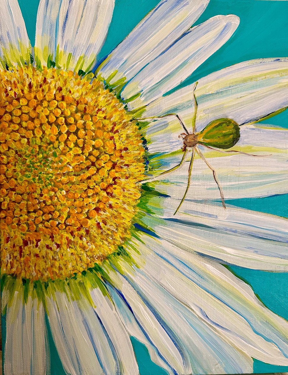 Watermelon Spider by Jan Barzottini