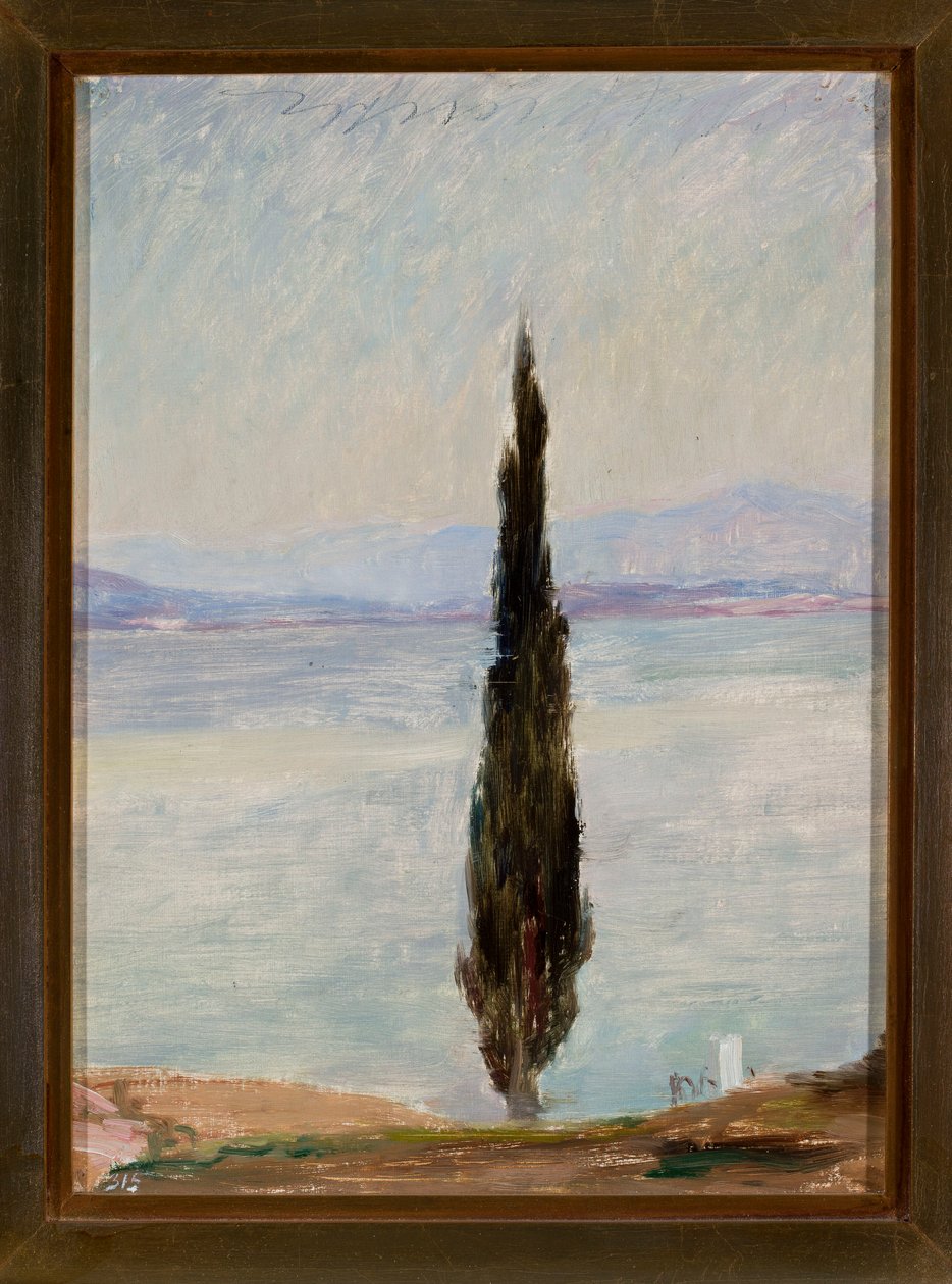 Cypress. From a Journey to Constantinople by Jan Ciągliński