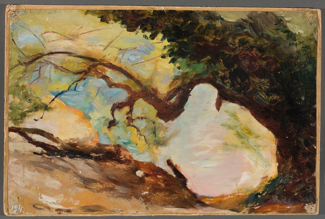 Trees in Alupka. From the Journey to Crimea by Jan Ciągliński