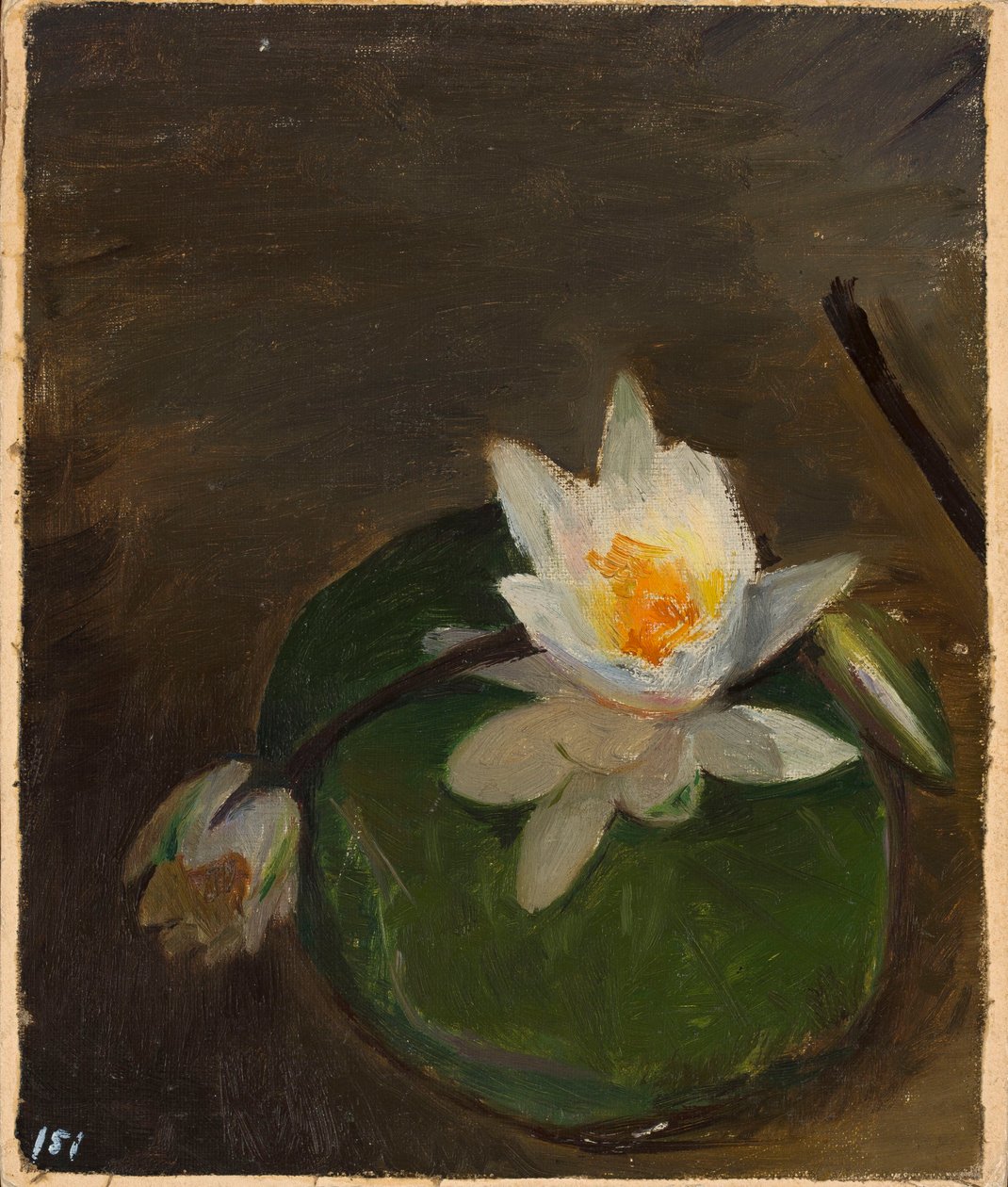 Two Water Lilies on a Leaf by Jan Ciągliński
