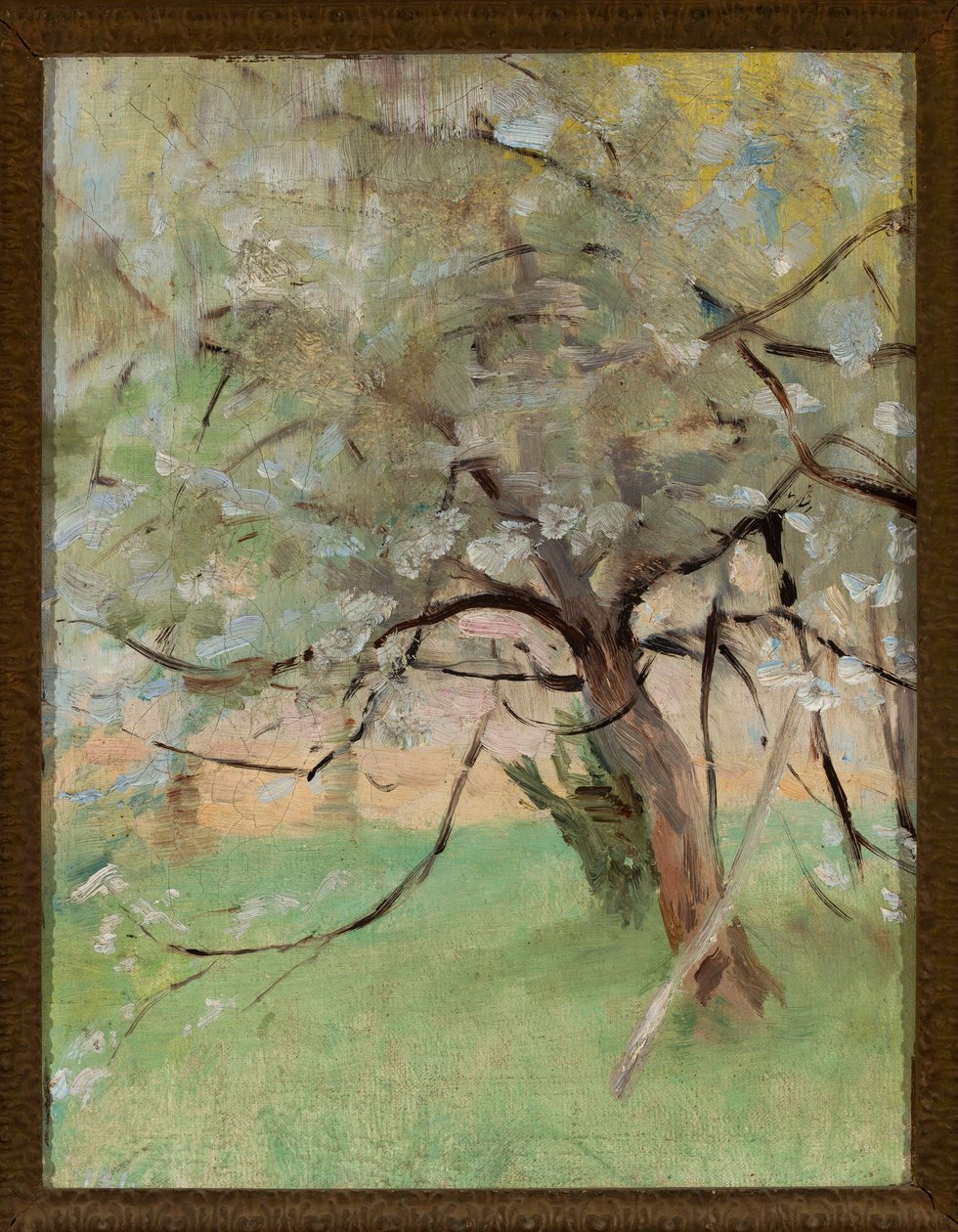Apple Tree by Jan Ciągliński
