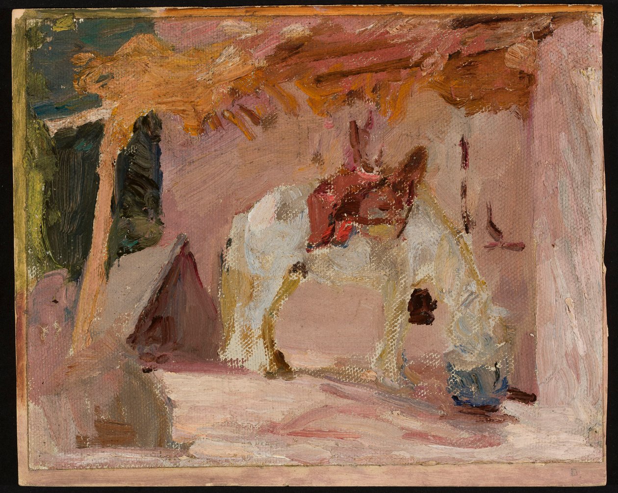 Horse. From a Journey to Turkestan by Jan Ciągliński