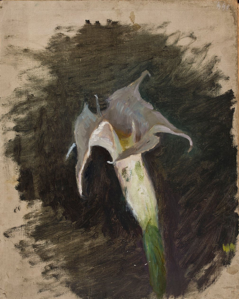 Flower by Jan Ciągliński
