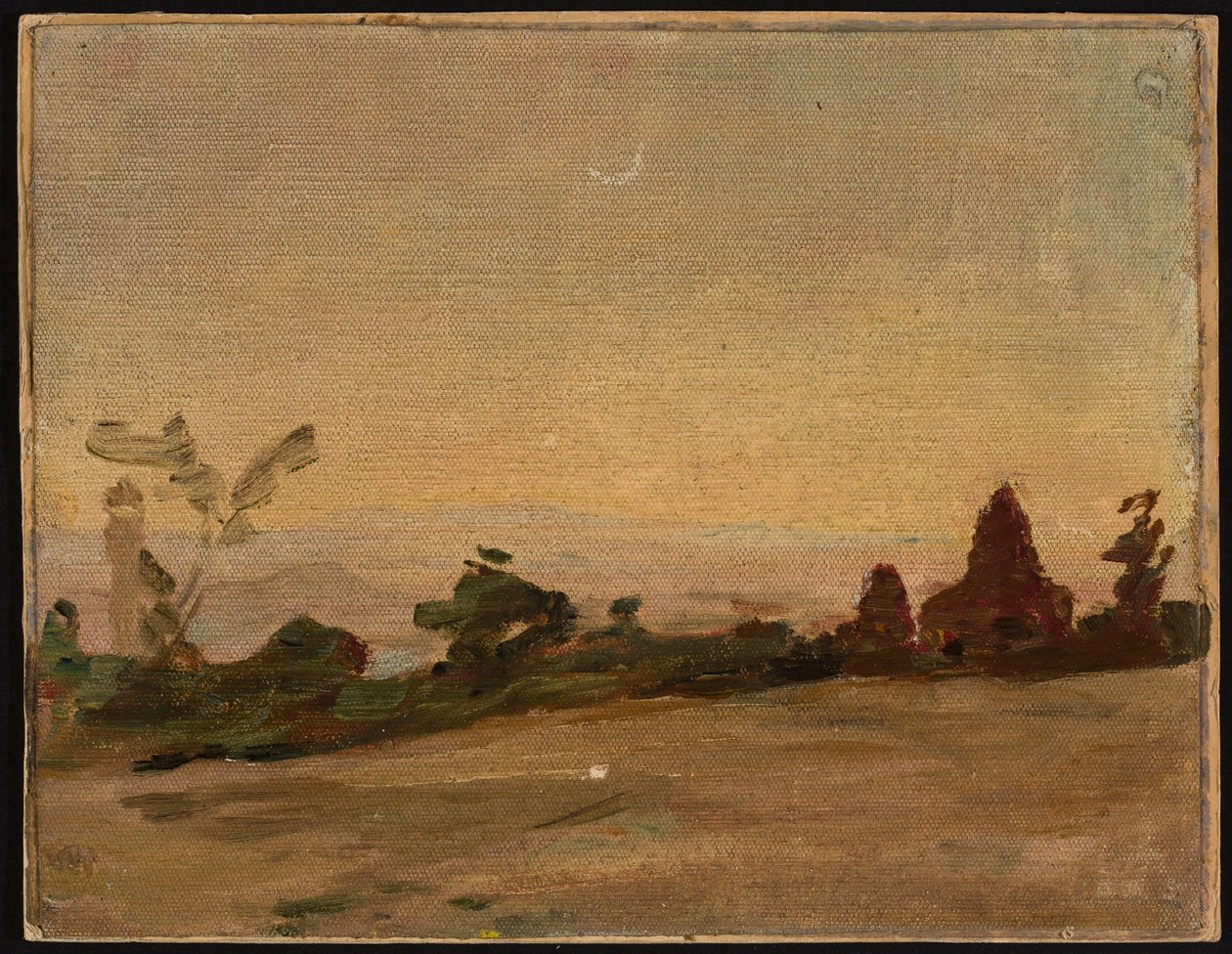 Indian Wedding by Moonlight. From a Journey to India by Jan Ciągliński