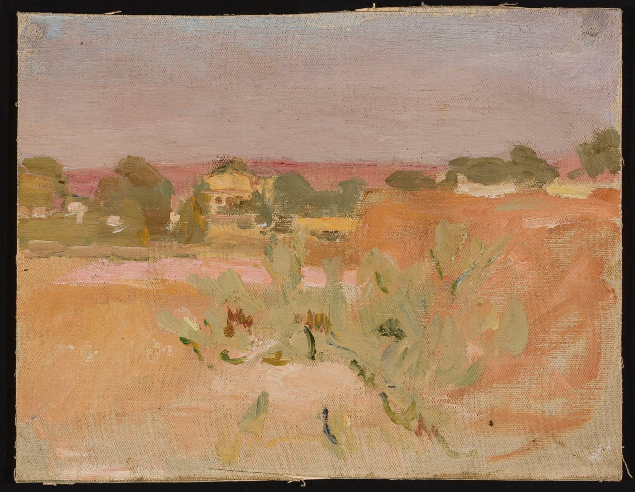 Pink Landscape with Cacti. From a Journey to India by Jan Ciągliński
