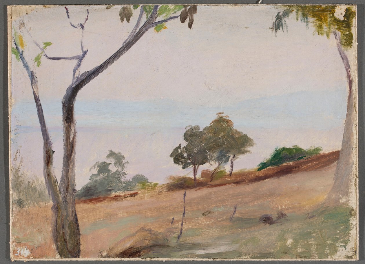 Landscape with Trees. From a Journey to Constantinople by Jan Ciągliński