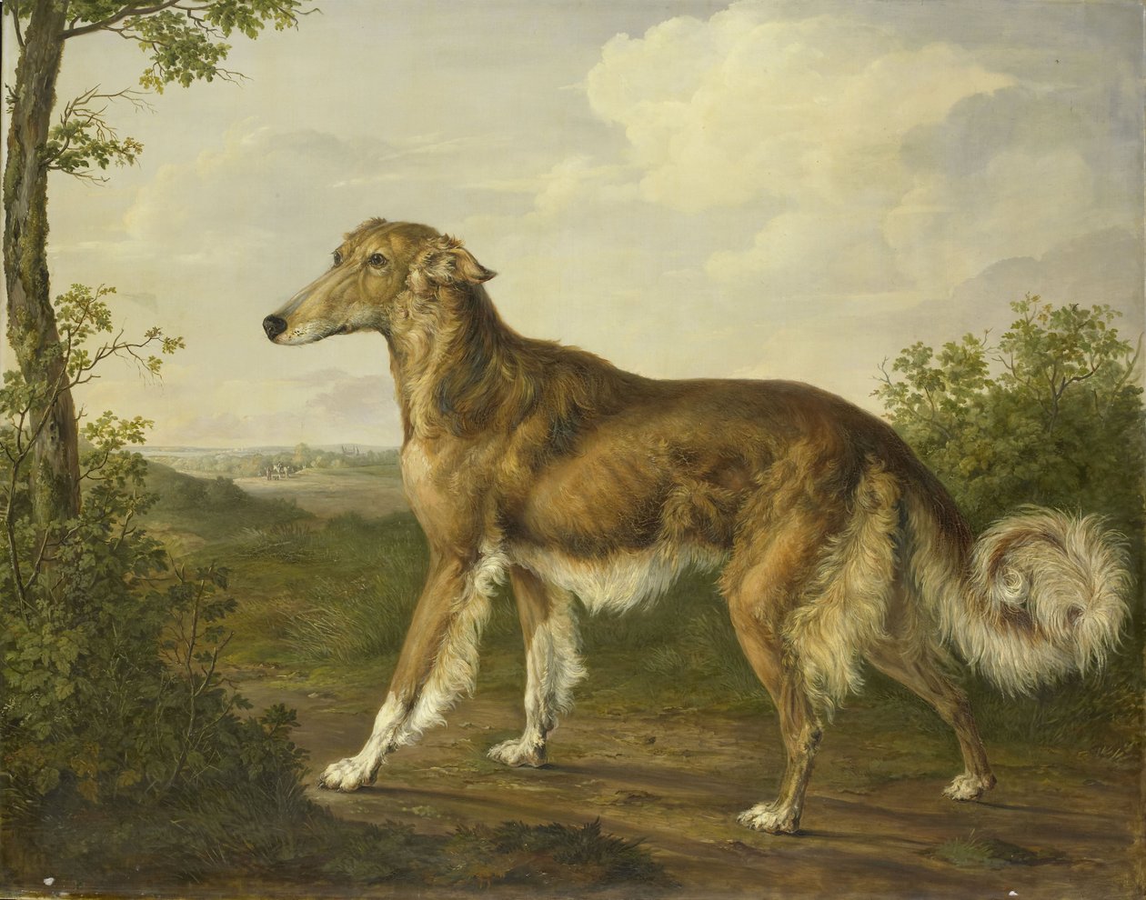 Siberian Greyhound, c.1825 by Jan Dasveldt