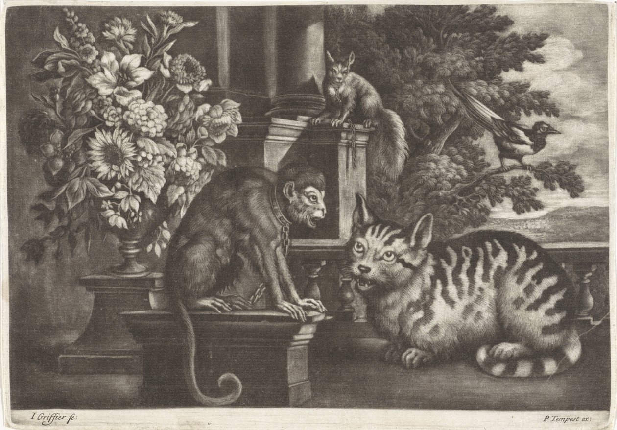 Monkey, Cat, Squirrel, and Magpie by Jan Griffier (I)