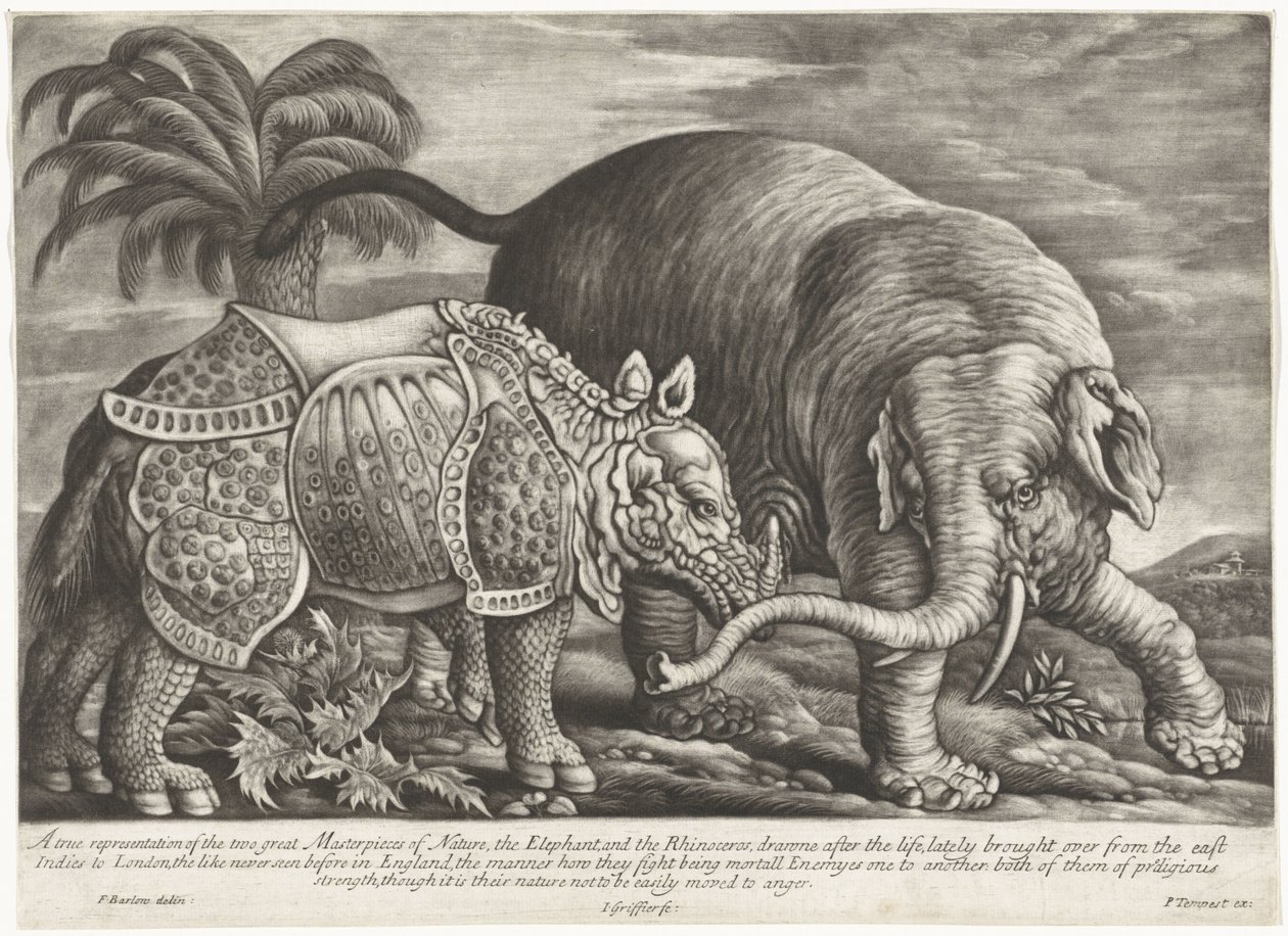 Elephant and Rhinoceros by Jan Griffier (I)