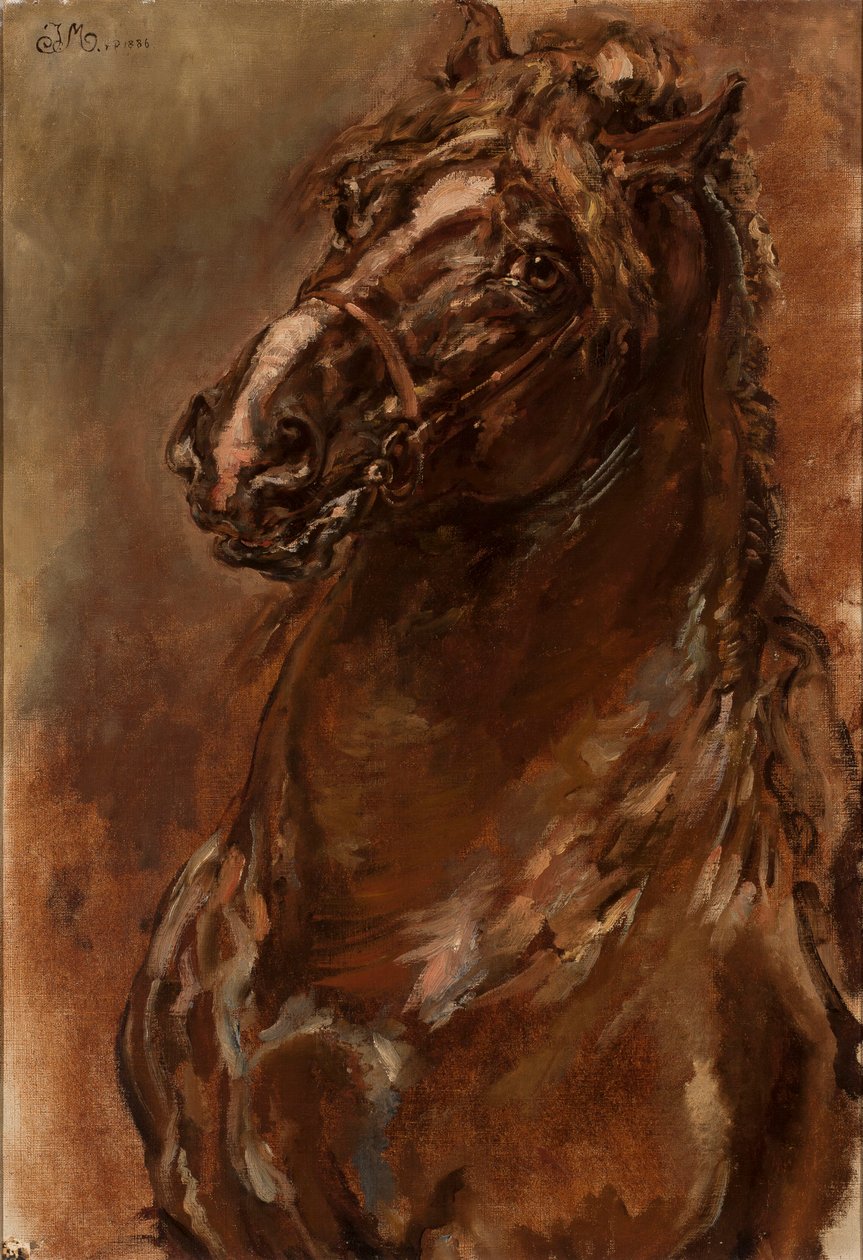 Study of a Horse