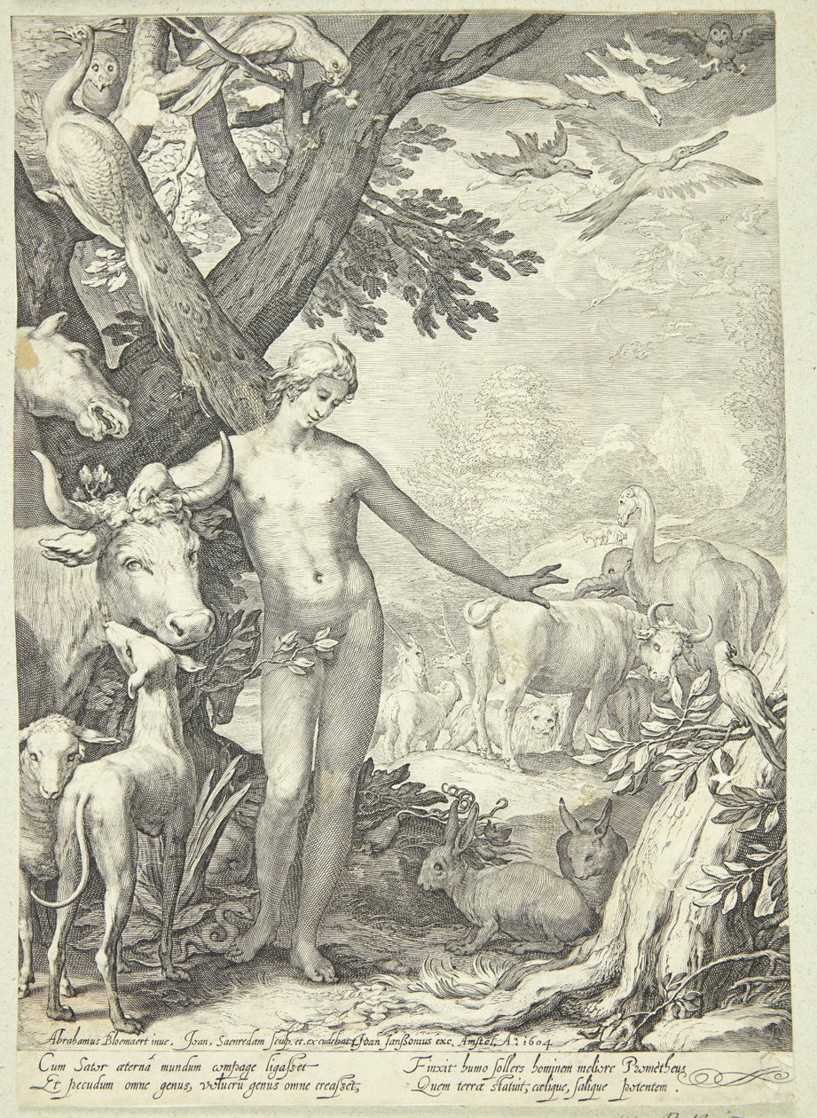 Adam Naming the Animals by Jan Saenredam