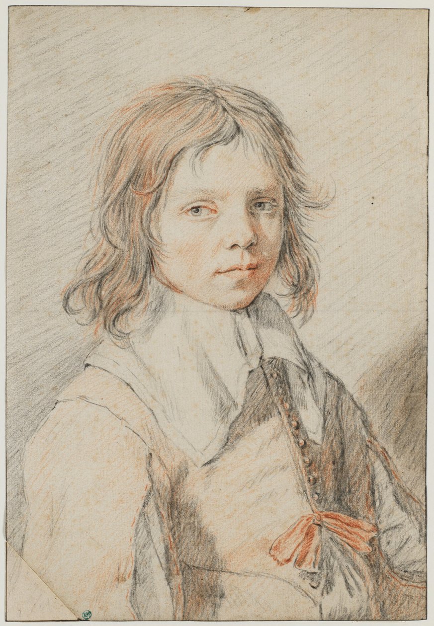 Portrait of a Boy by Jan de Bray