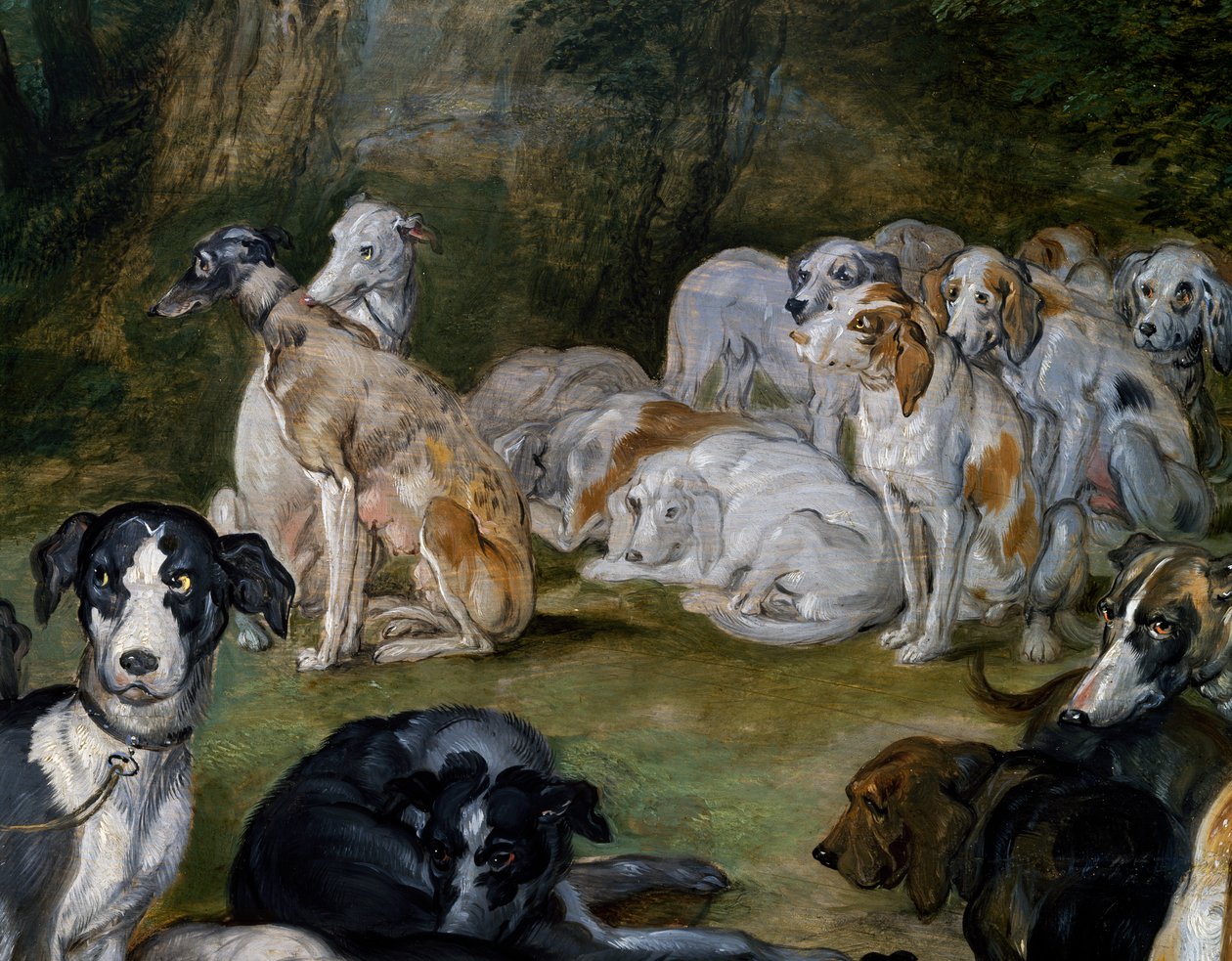 Dogs (detail) from Diana and Nymphs on point of leaving by Jan the Elder Brueghel