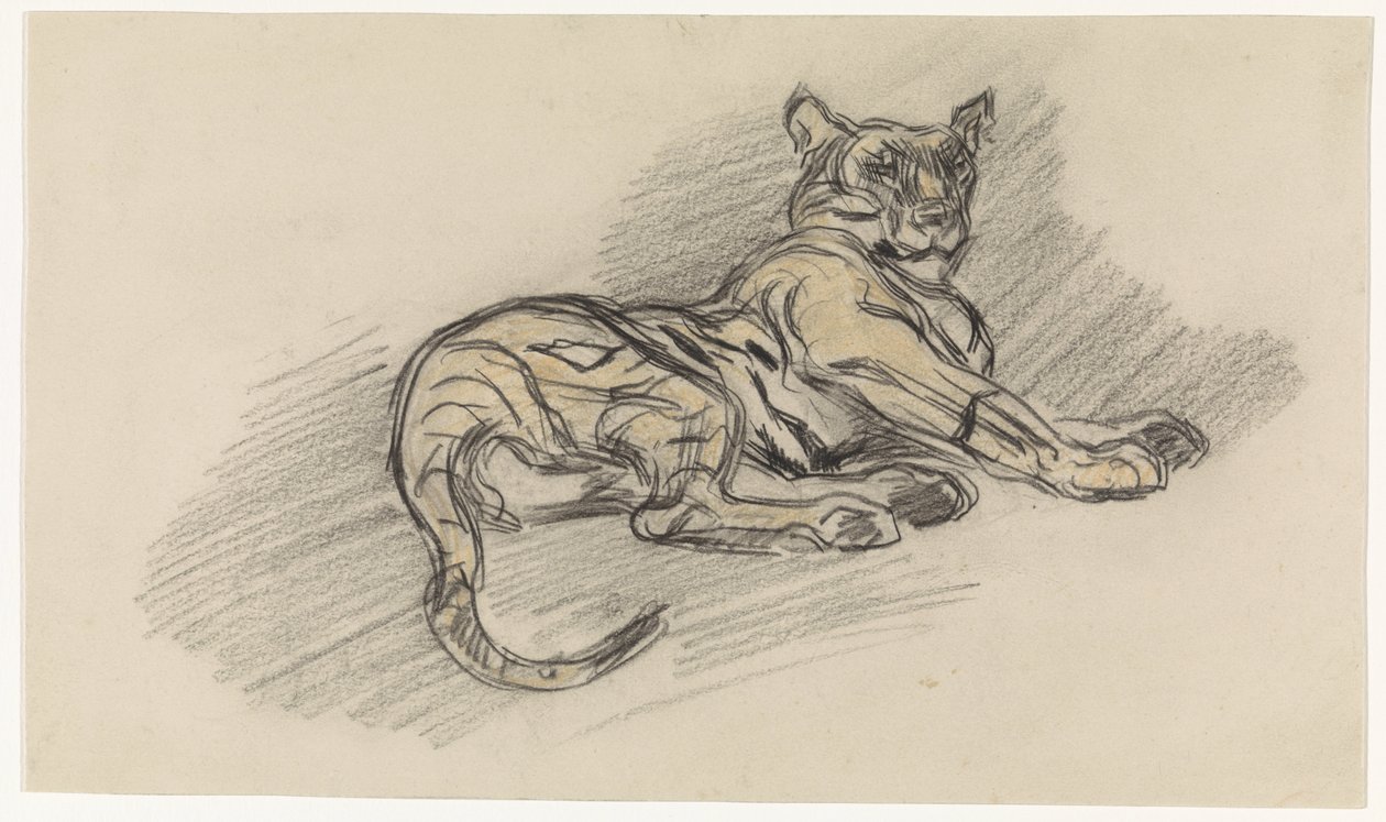 Reclining Tiger, Facing Right by Jan van Essen