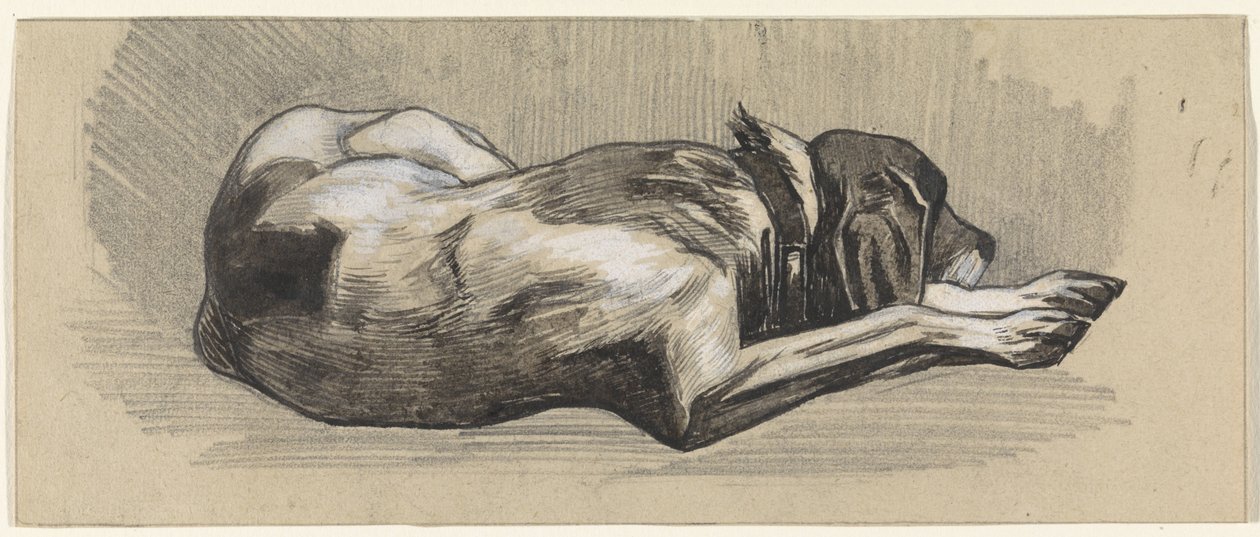 Sleeping Dog, Facing Right by Jan van Essen