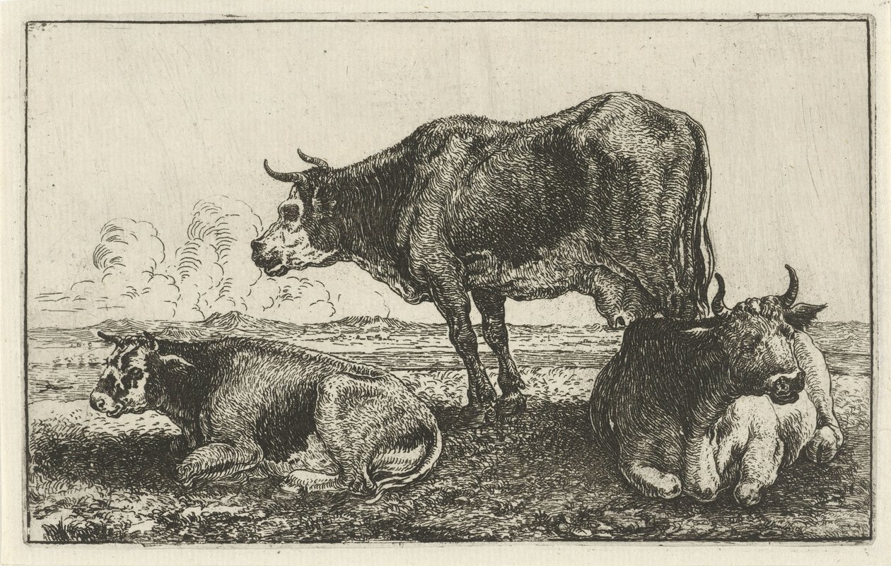 Three Cows by Jan van den Hecke