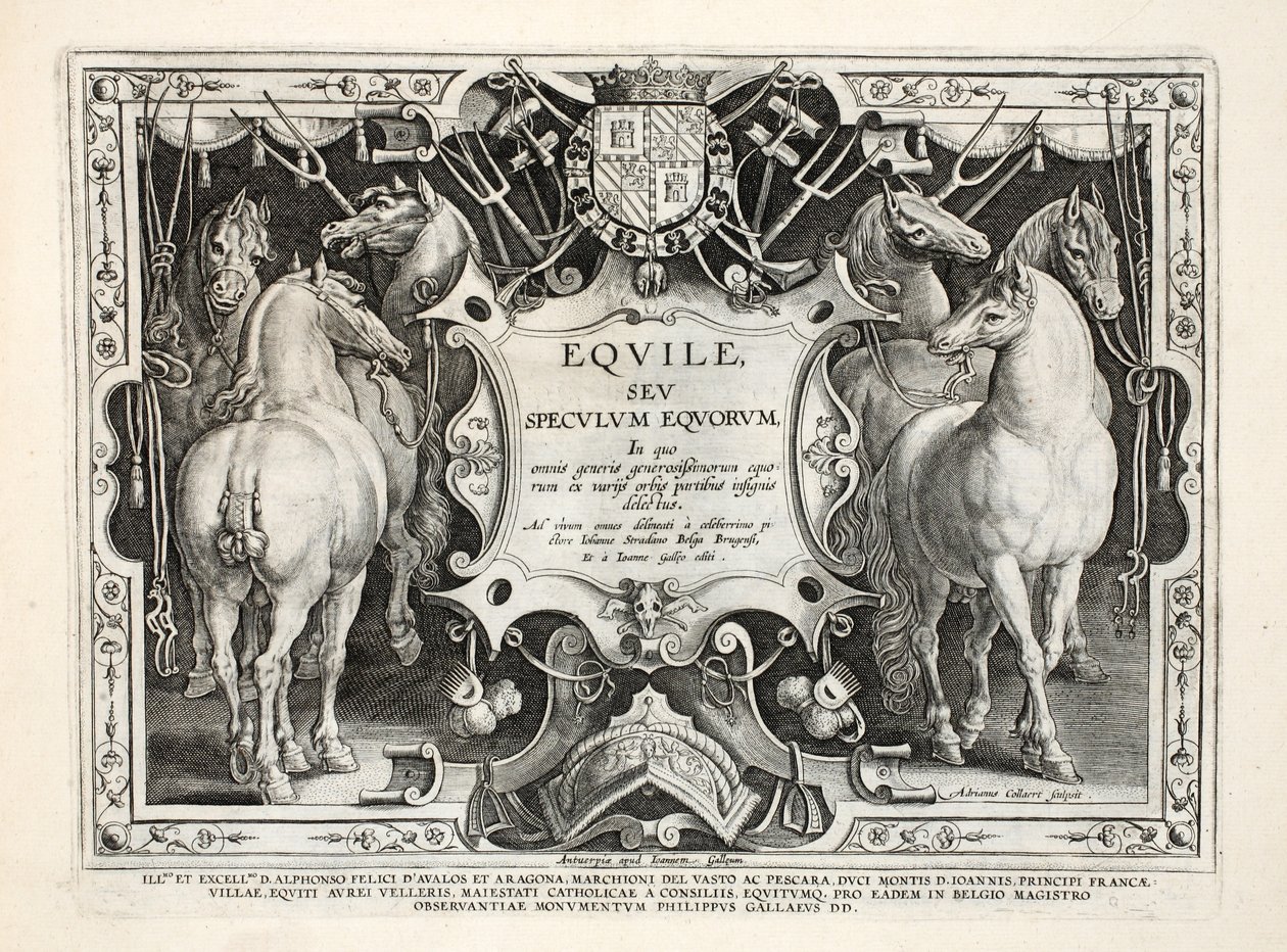 Illustration from 