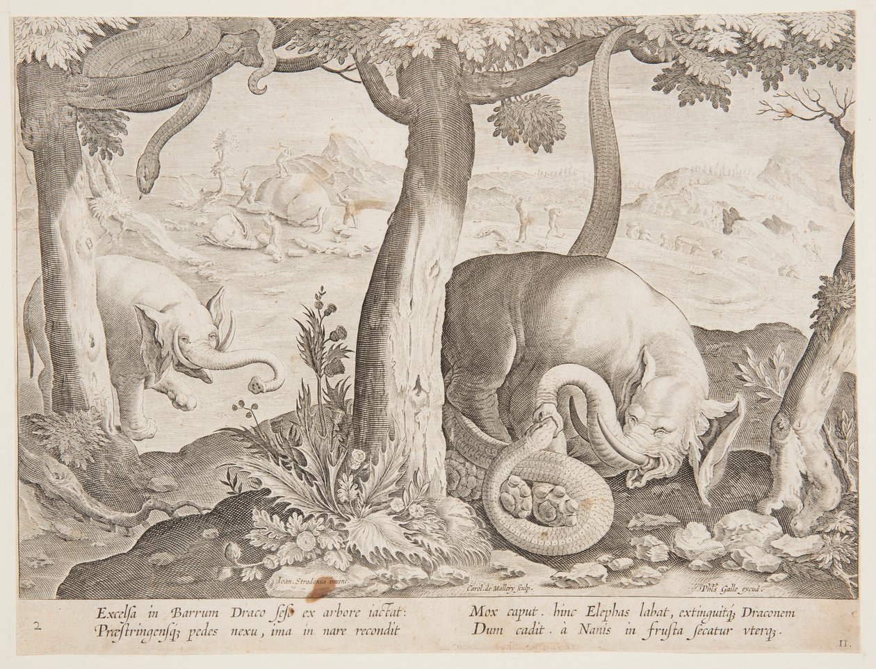 Fight between Elephants and Snakes, Plate 2 from the Venationes Ferarum, Avium, Piscium Series by Jan van der Straet, called Stradanus