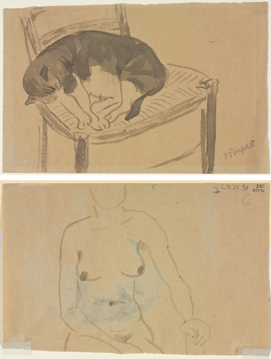 Sleeping Cat (recto) Torso of a Nude Woman (verso) by Jane Poupelet
