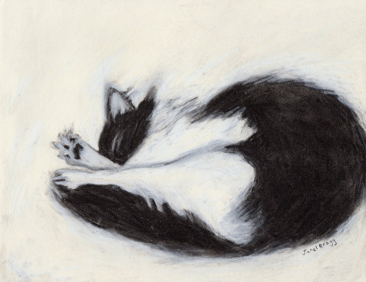 Thomas Taking a Nap by Janel Bragg