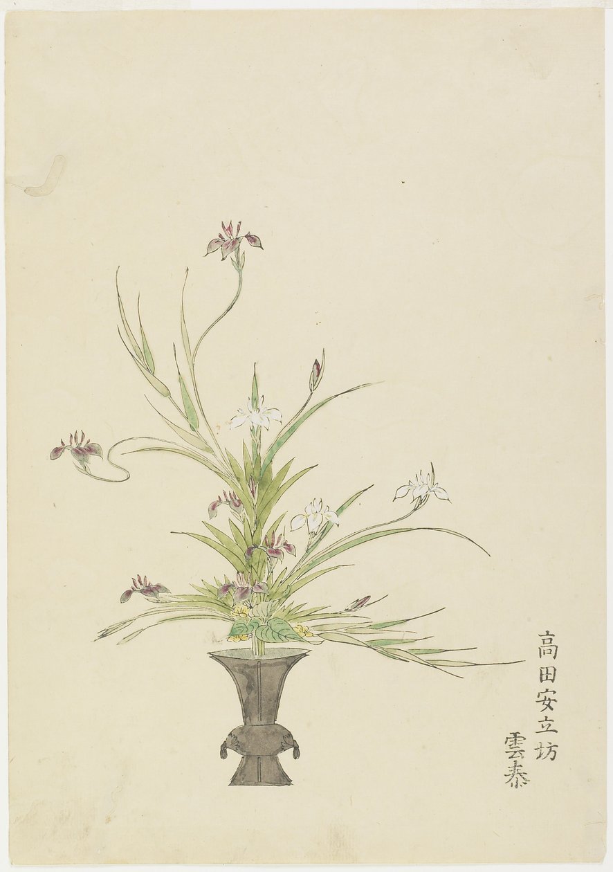 Flower Arrangement by Takada Anritsubo Untai, Irises by Japanese School