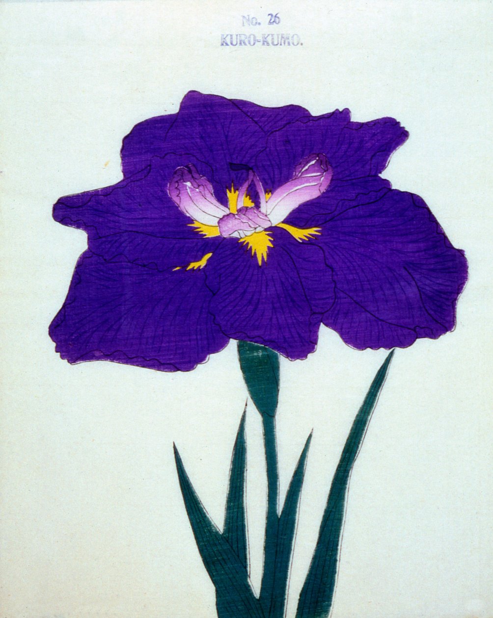 Kuro-Kumo, no.26, 1898 by Japanese School