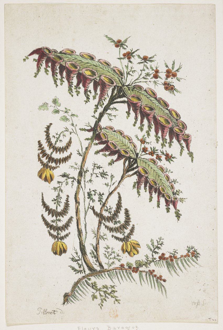 Flower Plate. Chinoiserie. by Jean Baptiste Pillement