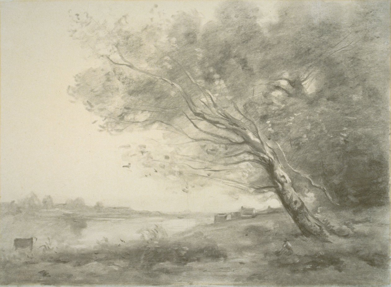 Bent Tree by the Water by Jean-Baptiste-Camille Corot