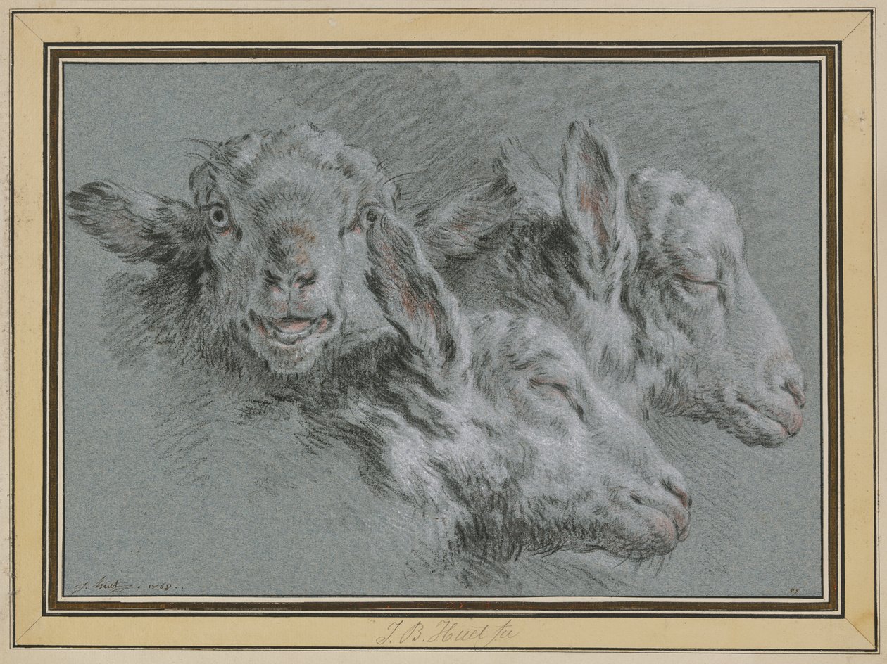 Three Sheep Heads, Awake and Sleeping by Jean-Baptiste Huet