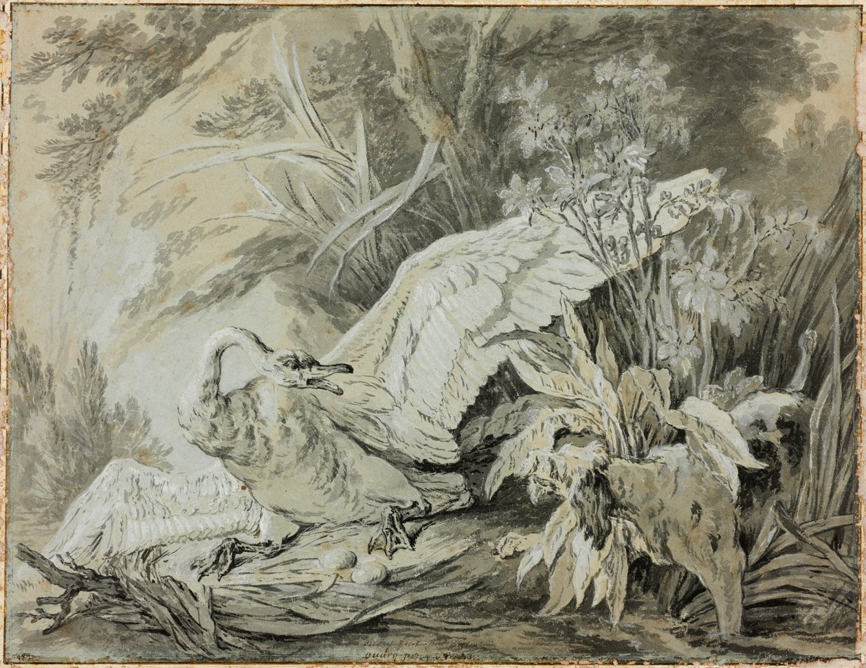 A Wild Swan Attacked by a Dog by Jean-Baptiste Oudry