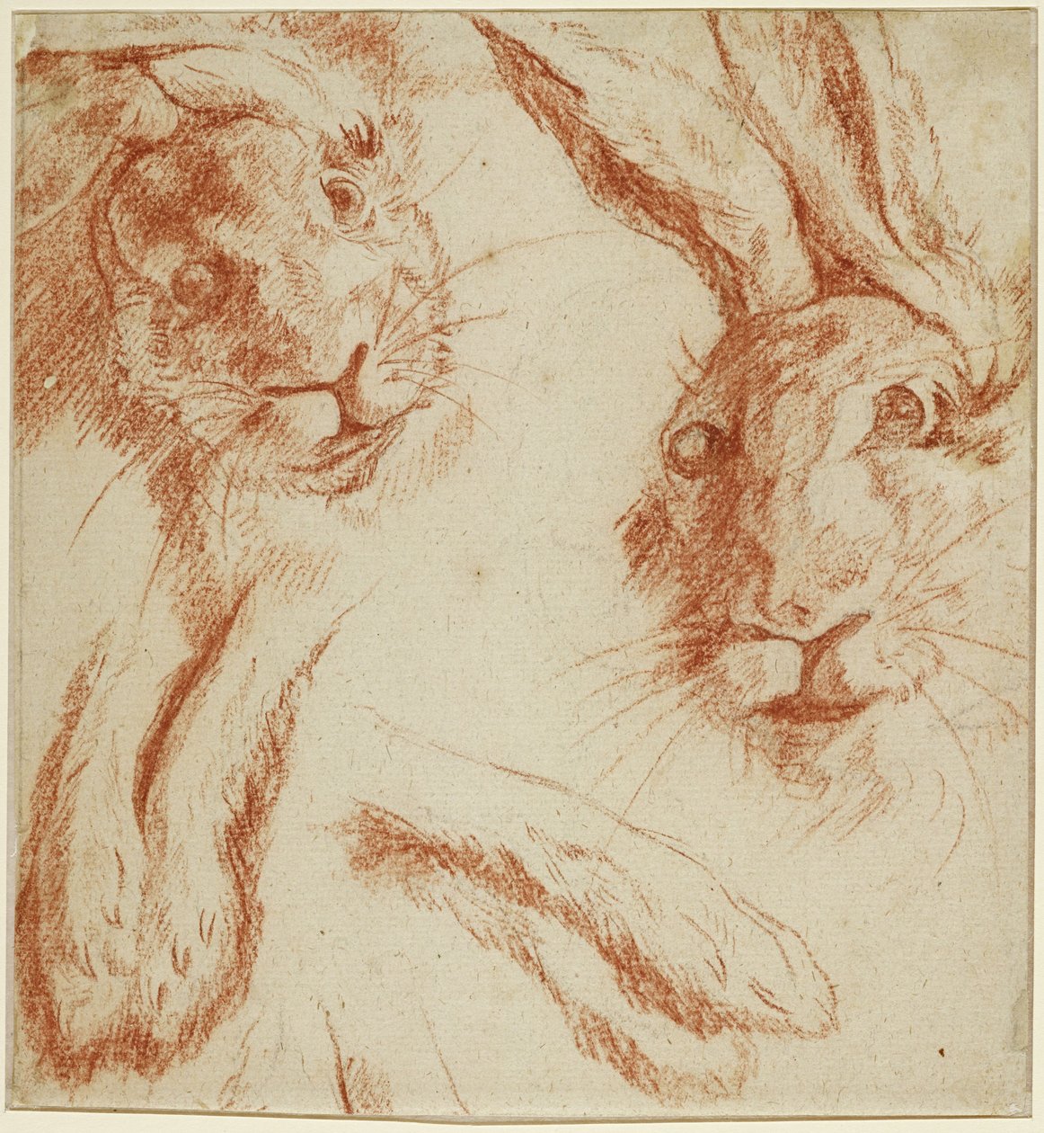 Studies of Hares: Two Heads and Two Pairs of Paws by Jean-Baptiste Oudry