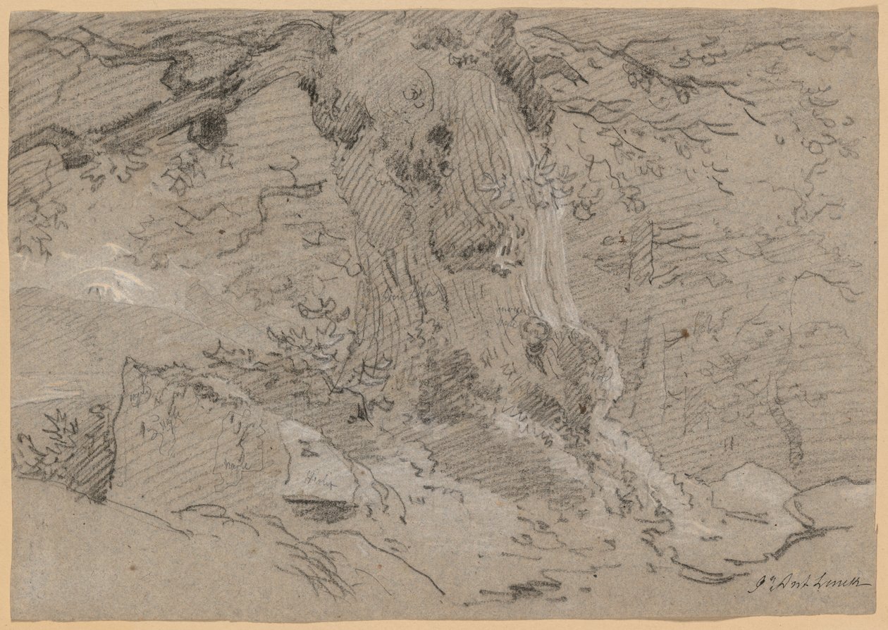 Study of Old Tree Trunk by Jean Antoine Linck