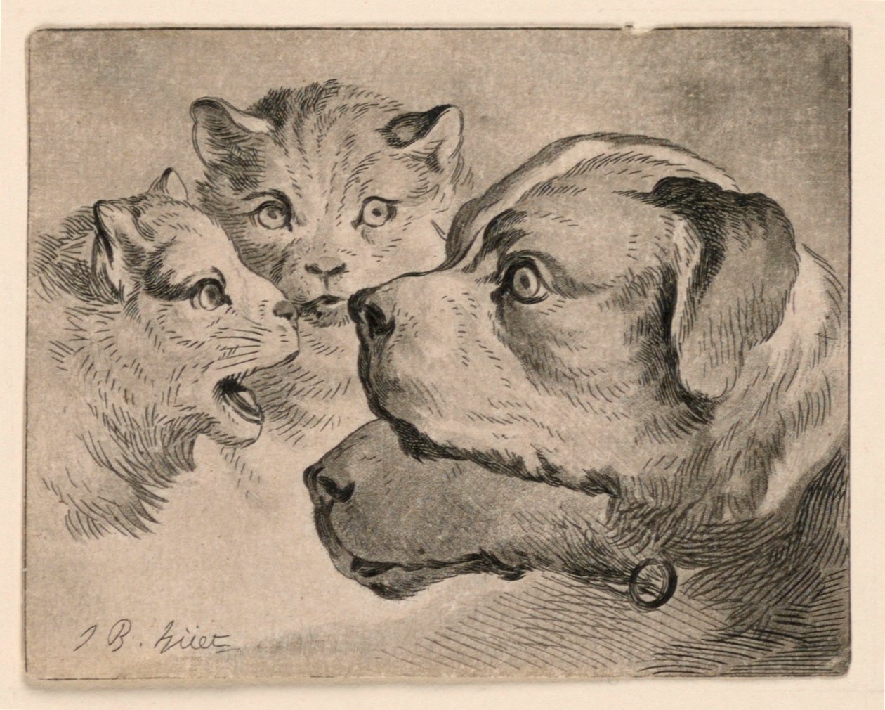 Heads of Cats and Dogs by Jean-Baptiste Huet
