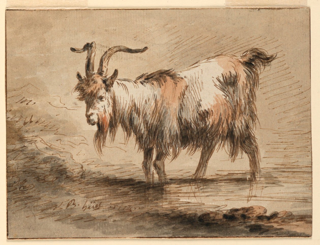 Study of a Goat, 1772 by Jean Baptiste Huet