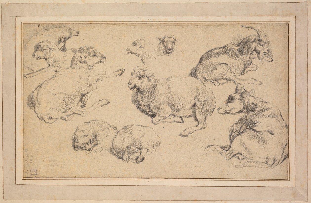 Sheet of Studies with Sheep, Goats, and Dogs, c. 1780 by Jean Baptiste Marie Huet
